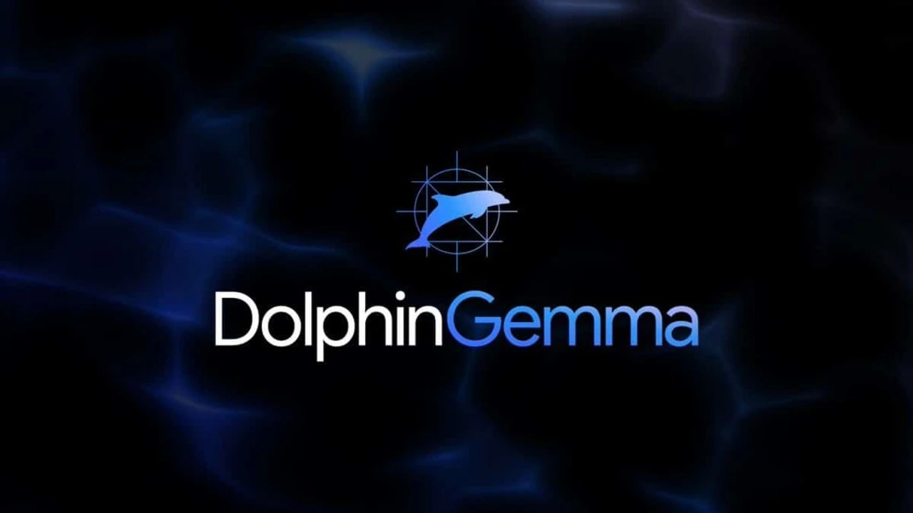 DolphinGemma: Google'ın Yunuslarla İletişim Kuran Yapay Zeka Modeli